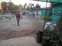 DSCN1096.JPG