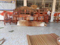 DSCN0248.JPG