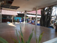 DSCN0273.JPG