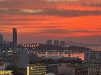 IMG_3445.jpg