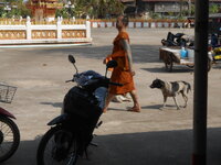 DSCN0307.JPG
