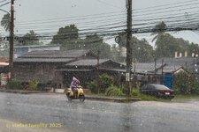 phoca_thumb_l_106-Maenam-2025-0312-02.jpg
