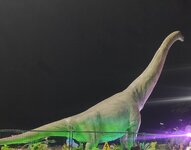 IMG_20250314_194854.jpg