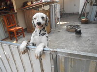 DSCN0368.JPG