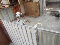 DSCN0370.JPG