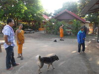 DSCN9852.JPG