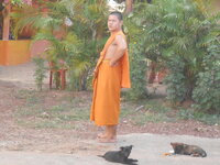 DSCN9854.JPG