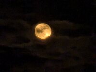 PXL_20250315_201300698.jpg