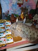 IMG_20250315_191210_034.jpg