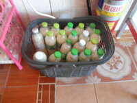 DSCN1155.JPG