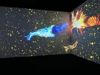 IMG_5290.jpeg