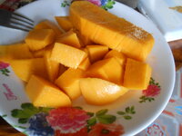 DSCN0396.JPG