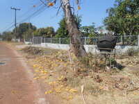 DSCN0814.JPG
