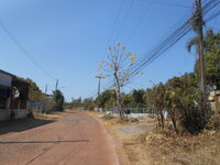 DSCN0815.JPG