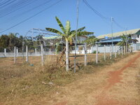 DSCN0820.JPG