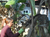 DSCN1074.JPG