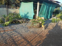 DSCN1081.JPG