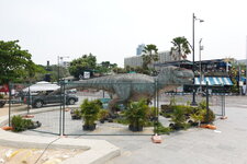 DSC03522.JPG