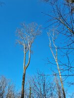 20250322_154710.jpg