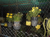 DSCN0565.JPG