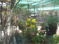 DSCN0880.JPG