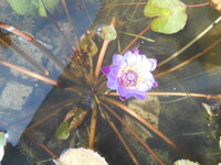 DSCN9898.JPG