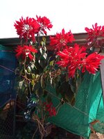 IMG_20250228_140123_484.jpg