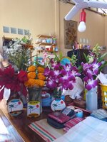 IMG_20250129_114038_044.jpg