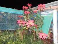 DSCN9871.JPG