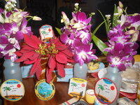 DSCN0233.JPG