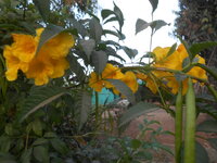 DSCN0452.JPG