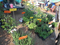 DSCN0730.JPG
