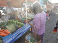 DSCN0731.JPG