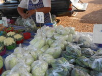 DSCN0732.JPG