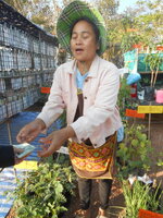 DSCN0728.JPG