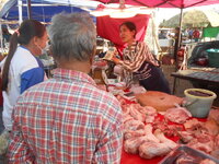 DSCN0738.JPG