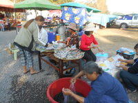 DSCN0745.JPG