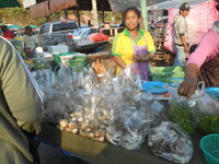 DSCN0748.JPG