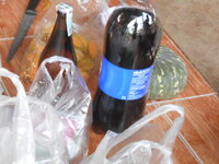 DSCN0513.JPG