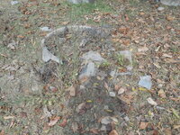 DSCN0508.JPG