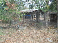 DSCN0509.JPG