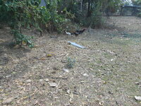 DSCN0510.JPG