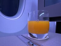 IMG_5493.jpeg