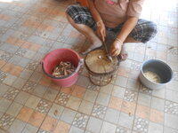 DSCN0725.JPG