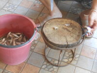 DSCN0726.JPG