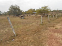 DSCN0589.JPG