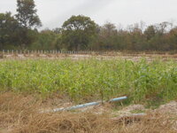 DSCN0584.JPG