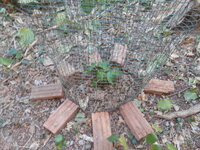 DSCN1055.JPG