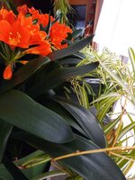 IMG_20250321_111936_056.jpg