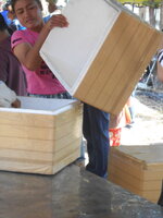 DSCN0953.JPG